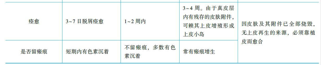 2.烧伤深度的识别 采用三度四分法: 三,大面积烧伤的急救 1.