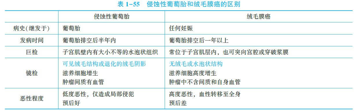 侵蚀性葡萄胎与绒毛膜癌的区别临床助理医师辅导精华